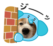 845504976