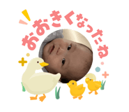 845505061