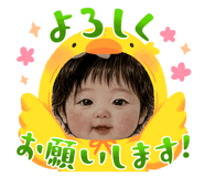 845505134
