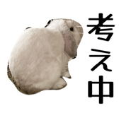 845505176