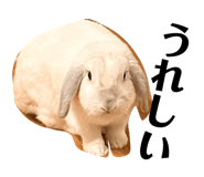 845505177