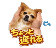 845505228