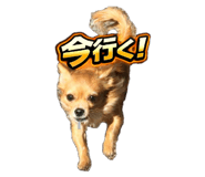 845505234