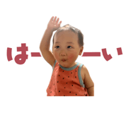 845505274