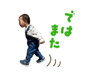 845505294