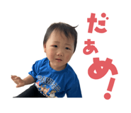 845505296