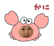 845505303