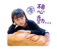 845505534