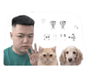 845505545