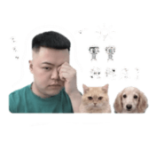 845505546