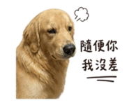 845505692