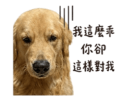 845505695