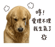 845505704