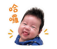 845505797