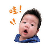 845505809