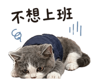 845506027