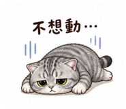 845506491
