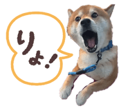 845507538