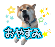 845507539