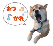845507540