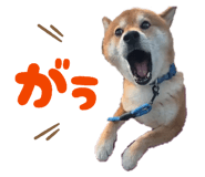 845507541