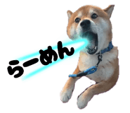 845507543