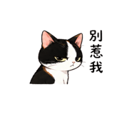 845509072