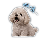 845509148