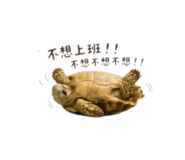 845510139