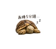 845510140