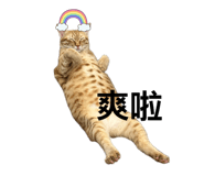 845510522