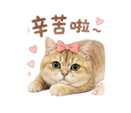 845510929