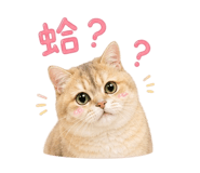 845510930