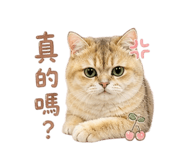 845510937