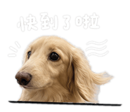 845511690