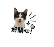 845512266
