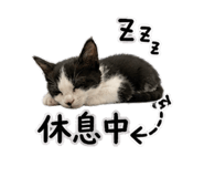 845512275