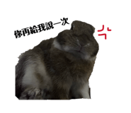 845512587