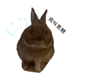 845512588