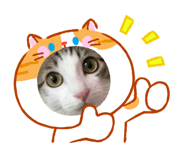 845513155