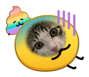 845513156