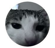 845513177