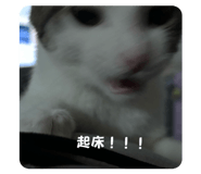 845513178