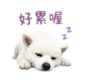 845513343