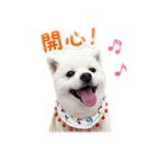 845513347
