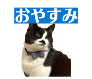 845515339
