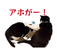 845515344