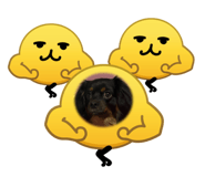 845515442