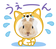 845515449