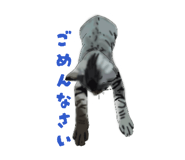 845515460